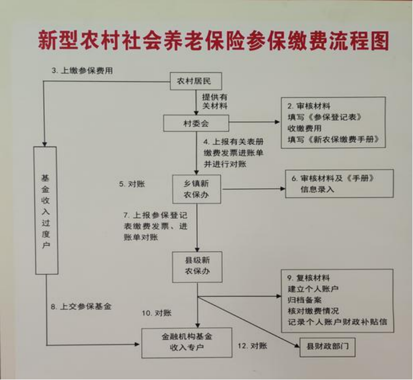 镇江农村医保和社保有什么区别(农村医保跟社保的区别)
