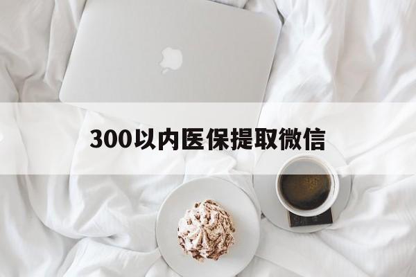 镇江300以内医保提取微信(300以内医保提取微信离职可以用吗)